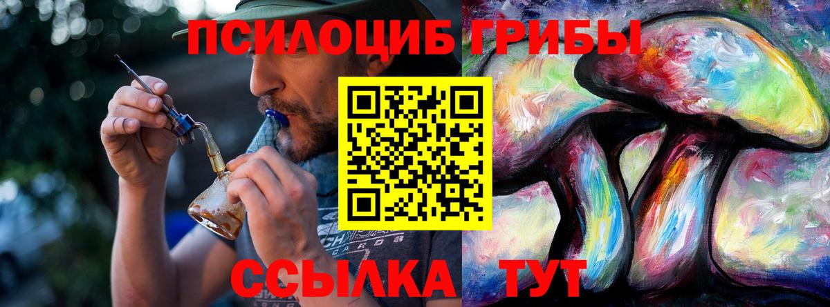 купить   Галлюциногенные грибы мухоморы  Саянск  Вход с VPN  Псилоцибиновые грибы мицелий 